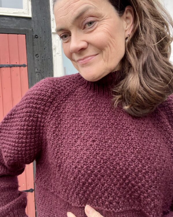 Winewood Sweater - Image 4