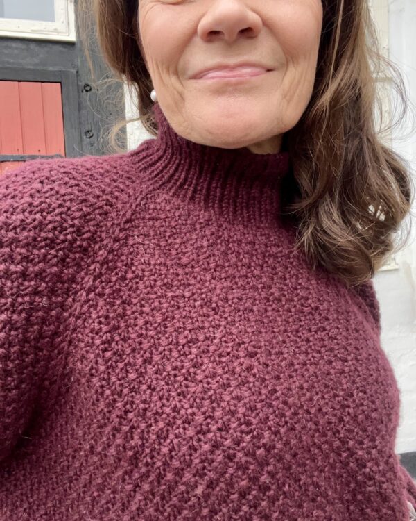 Winewood Sweater - Image 3