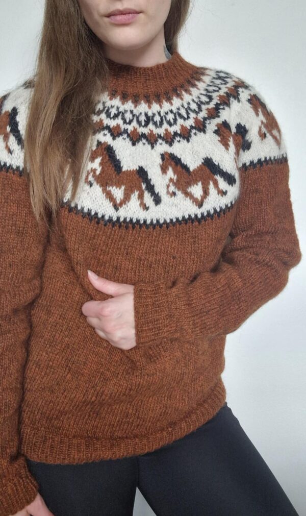 Andvari Sweater (EN) - Image 4