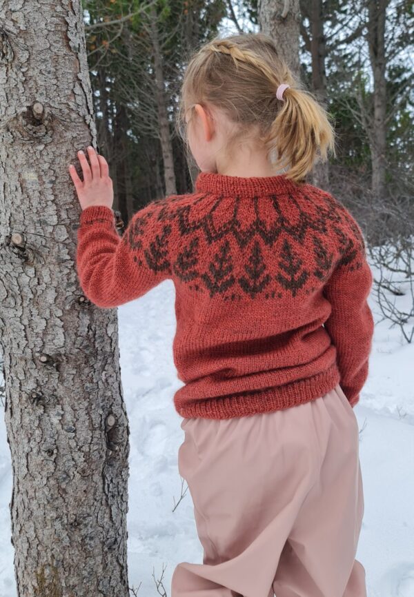 Sitkagreni Kids Sweater (EN) - Image 2