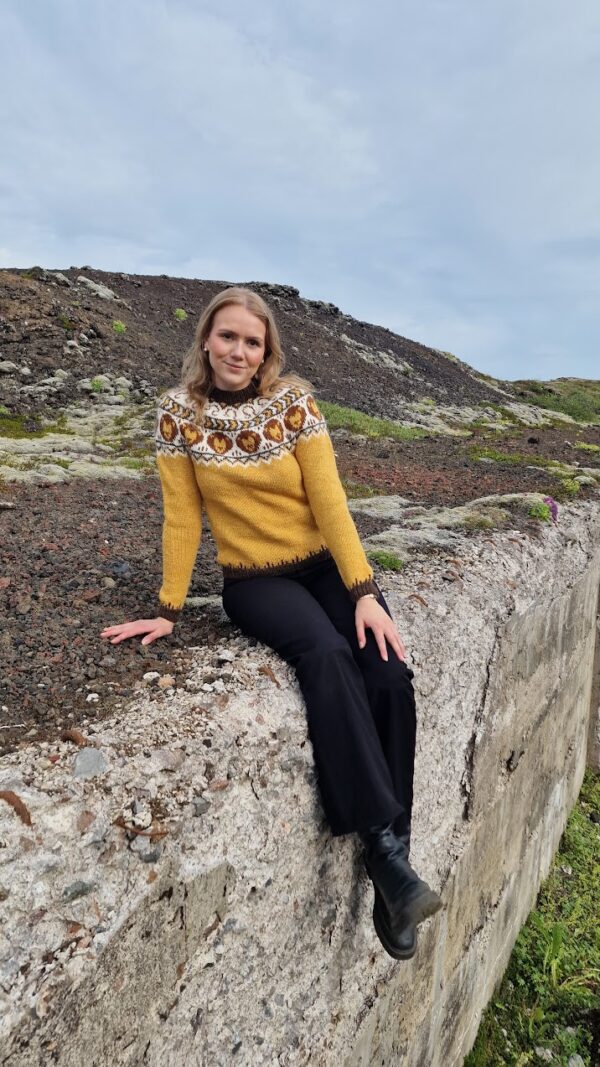 Leo Sweater (EN) - Image 3
