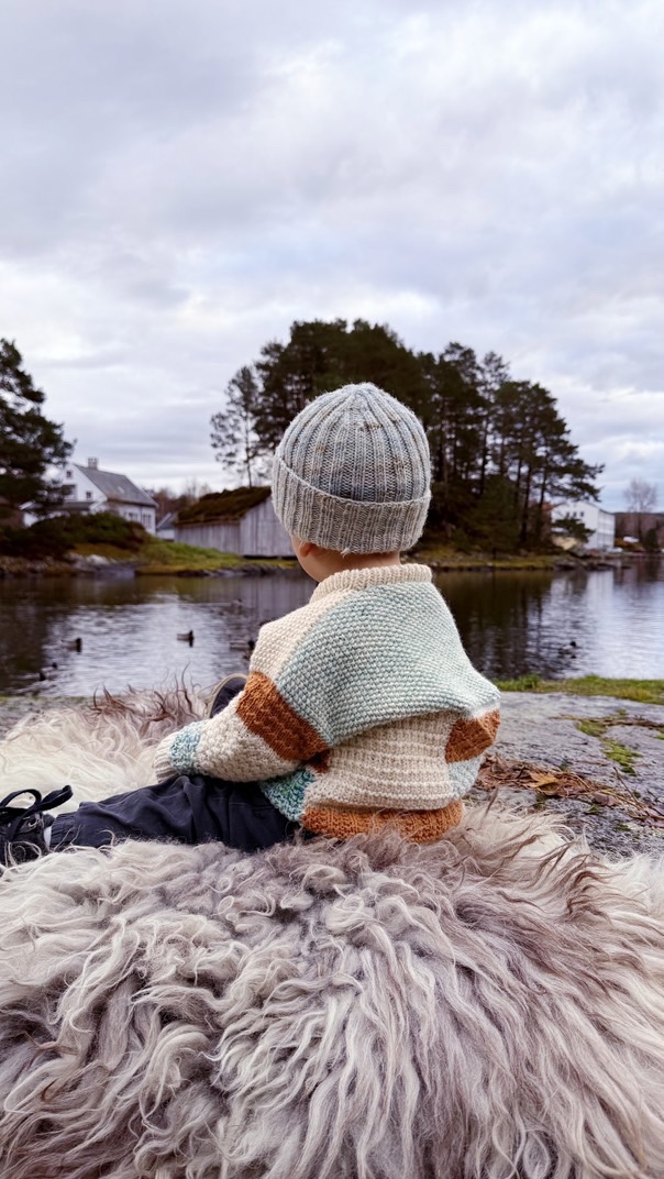 Country Lines Sweater Junior - Image 5